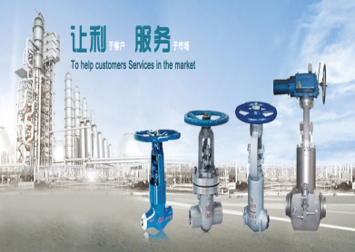 公司主要經(jīng)營(yíng)：南通電站高壓高溫閥門(mén)、南通國(guó)電閥門(mén)、南通力沛閥門(mén)、鴻遠(yuǎn)復(fù)合閥門(mén)、江蘇華星脫硫脫水設(shè)備、旋轉(zhuǎn)濾網(wǎng)、軸承等